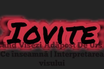 Când Visezi Adăpost De Urs – Ce înseamnă | Interpretarea visului