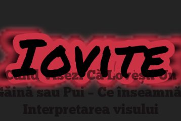 Când Visezi Că Lovești Un Găină sau Pui – Ce înseamnă | Interpretarea visului