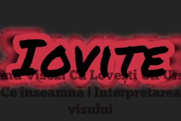 Când Visezi Că Lovești Un Urs – Ce înseamnă | Interpretarea visului