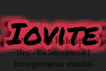 Când Visezi Că Îmbrățișezi un Urs – Ce înseamnă | Interpretarea visului