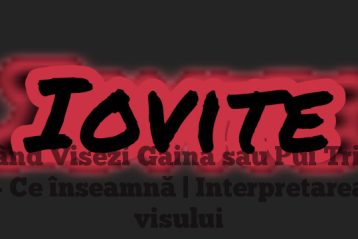 Când Visezi Găină sau Pui Trist – Ce înseamnă | Interpretarea visului