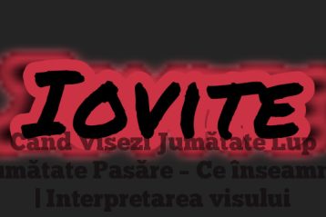 Când Visezi Jumătate Lup Jumătate Pasăre – Ce înseamnă | Interpretarea visului