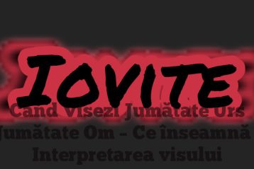 Când Visezi Jumătate Urs Jumătate Om – Ce înseamnă | Interpretarea visului