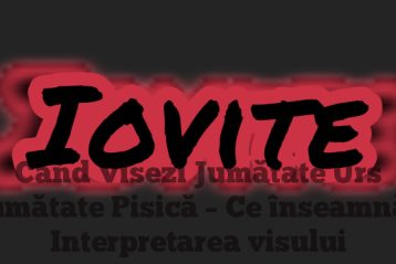 Când Visezi Jumătate Urs Jumătate Pisică – Ce înseamnă | Interpretarea visului