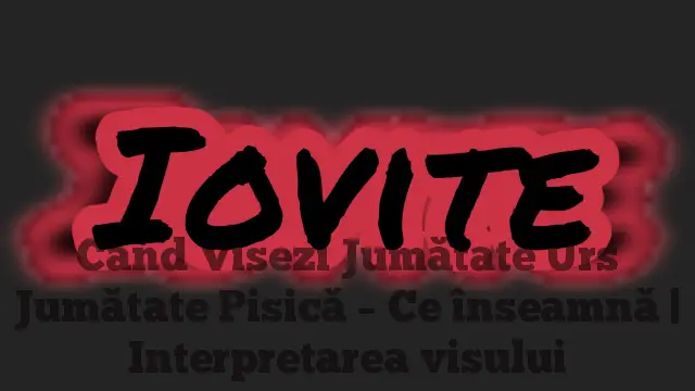 Când Visezi Jumătate Urs Jumătate Pisică – Ce înseamnă | Interpretarea visului