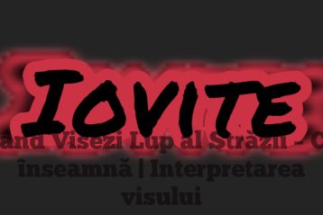 Când Visezi Lup al Străzii – Ce înseamnă | Interpretarea visului