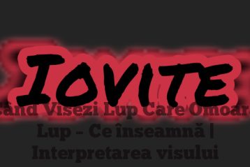 Când Visezi Lup Care Omoară Lup – Ce înseamnă | Interpretarea visului