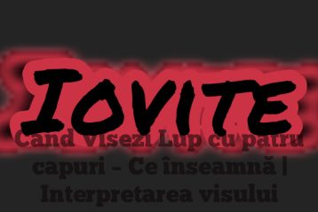 Când Visezi Lup cu patru capuri – Ce înseamnă | Interpretarea visului