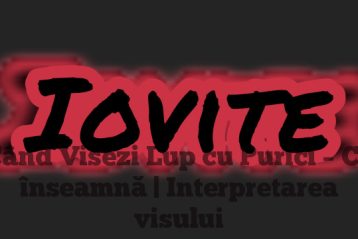 Când Visezi Lup cu Purici – Ce înseamnă | Interpretarea visului