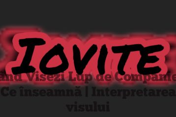 Când Visezi Lup de Companie – Ce înseamnă | Interpretarea visului