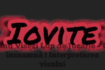 Când Visezi Lup de Jucărie – Ce înseamnă | Interpretarea visului