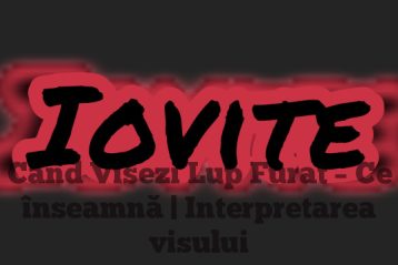 Când Visezi Lup Furat – Ce înseamnă | Interpretarea visului