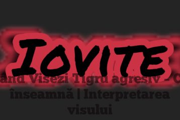 Când Visezi Tigru agresiv – Ce înseamnă | Interpretarea visului