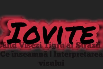 Când Visezi Tigru al Străzii – Ce înseamnă | Interpretarea visului