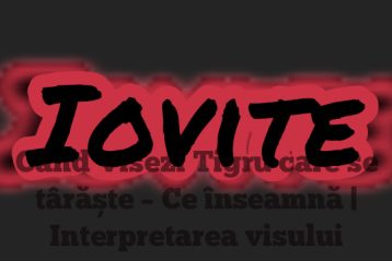 Când Visezi Tigru care se târăște – Ce înseamnă | Interpretarea visului