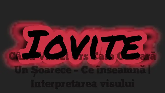 Când Visezi Urs Care Omoară Un Șoarece – Ce înseamnă | Interpretarea visului