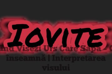 Când Visezi Urs Care Sapă – Ce înseamnă | Interpretarea visului