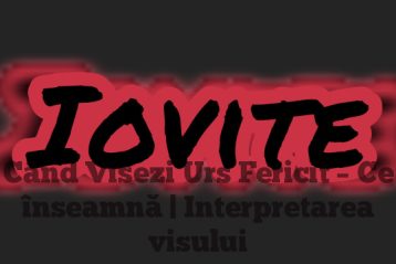 Când Visezi Urs Fericit – Ce înseamnă | Interpretarea visului