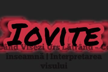 Când Visezi Urs Lătrând – Ce înseamnă | Interpretarea visului