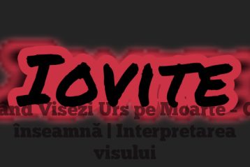 Când Visezi Urs pe Moarte – Ce înseamnă | Interpretarea visului