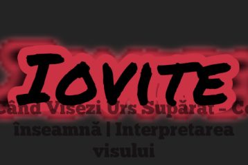 Când Visezi Urs Supărat – Ce înseamnă | Interpretarea visului