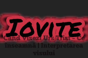 Când Visezi Urs Trist – Ce înseamnă | Interpretarea visului