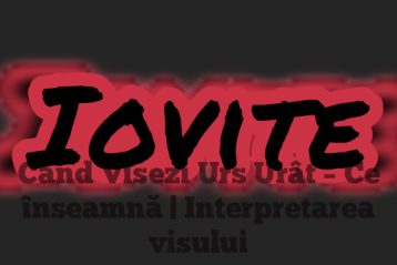 Când Visezi Urs Urât – Ce înseamnă | Interpretarea visului