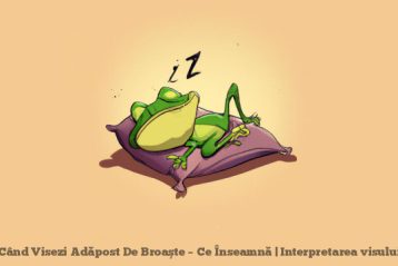 When You Dream of Frog Shelter - What Does It Mean | Interpretation of the dream
