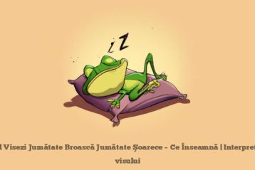 When You Dream Half Frog Half Mouse - What It Means | Interpretation of the dream